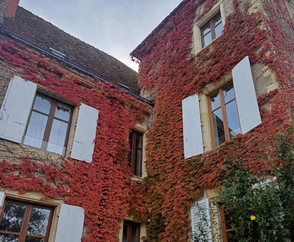Chateau Le Sallay主图