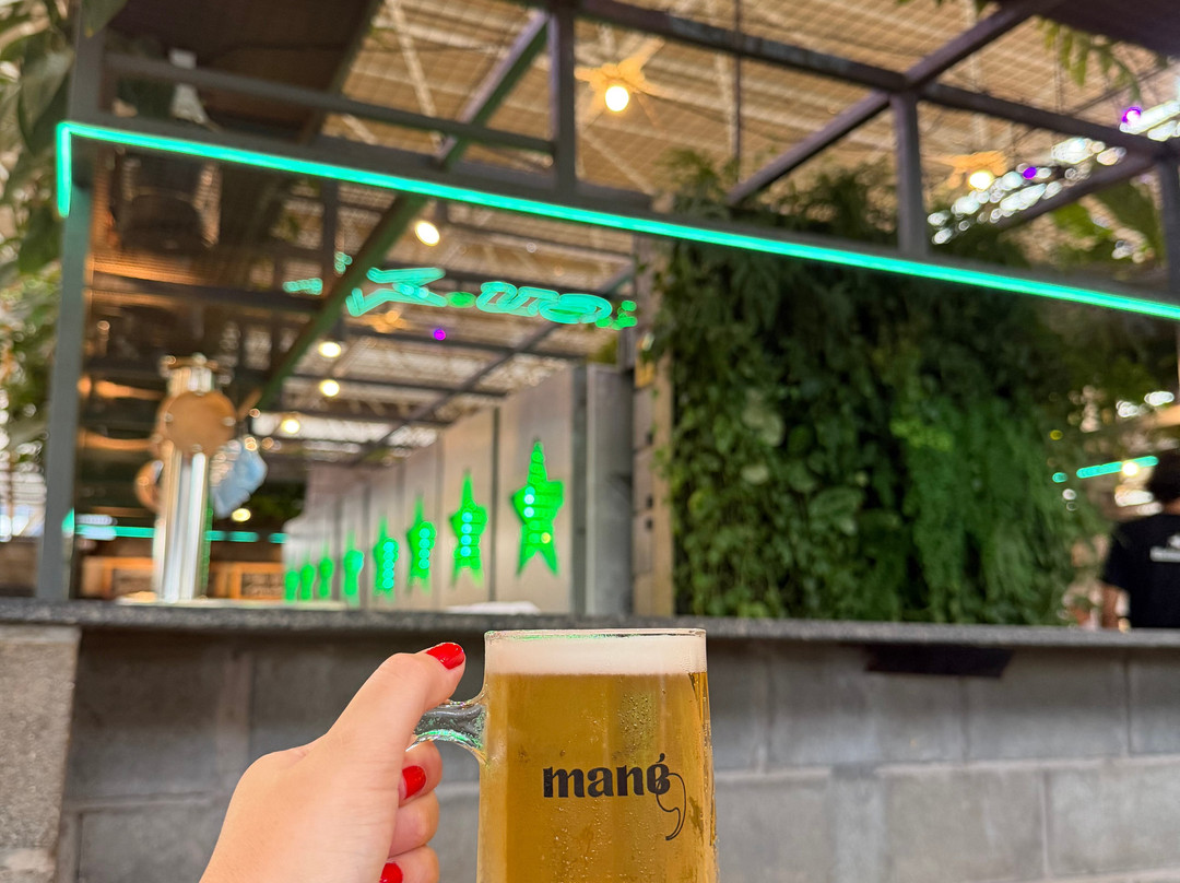 Mané Mercado Virgula-巴西利亚必去景点