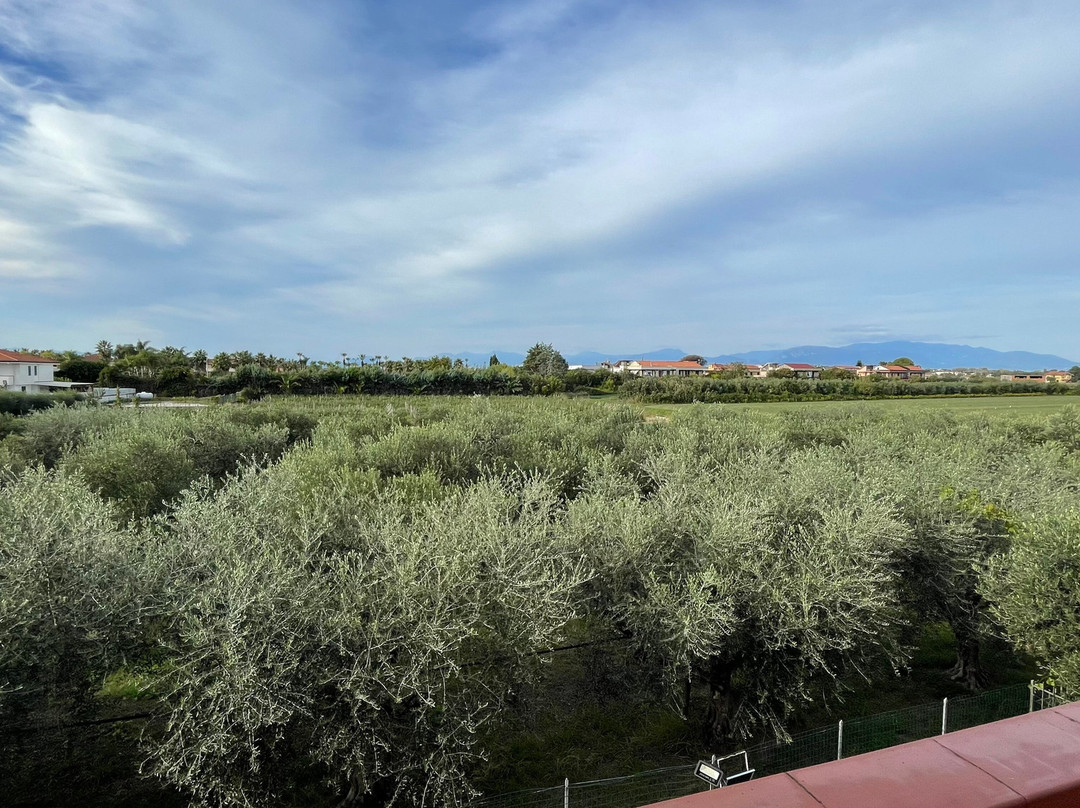 La Stella di Paestum主图