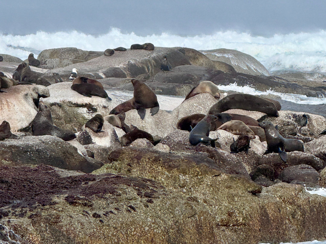 Drumbeat Charters-木湾必去景点