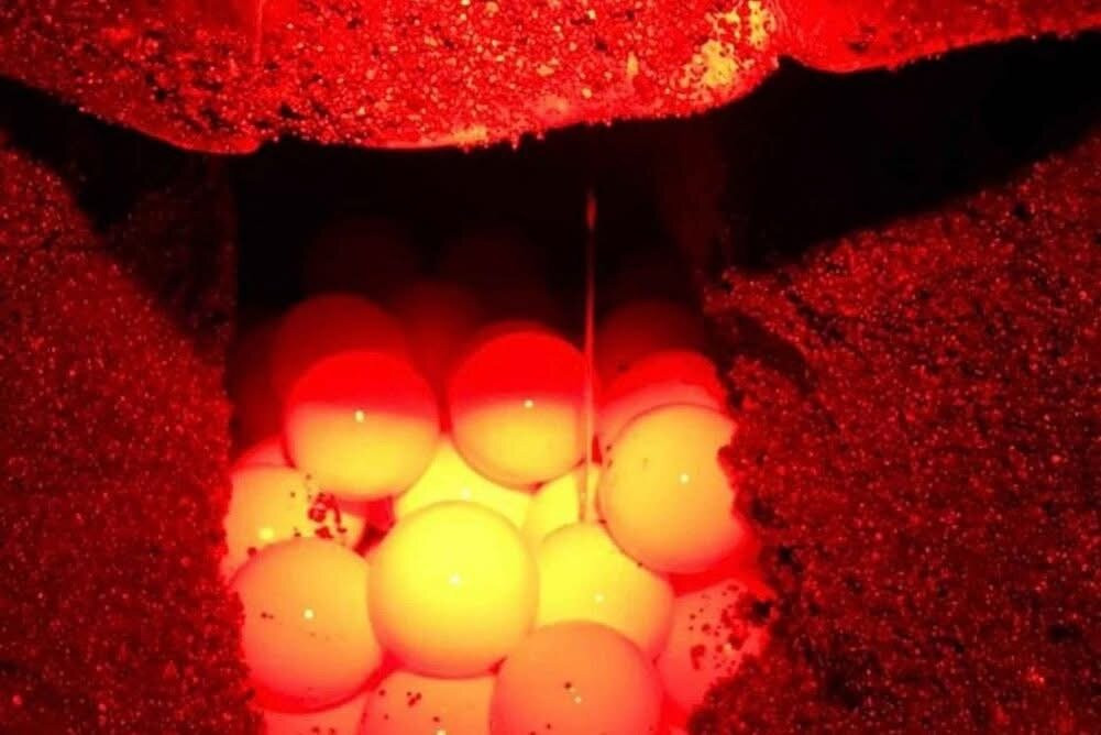 Fefetours-萨尔雷必去景点