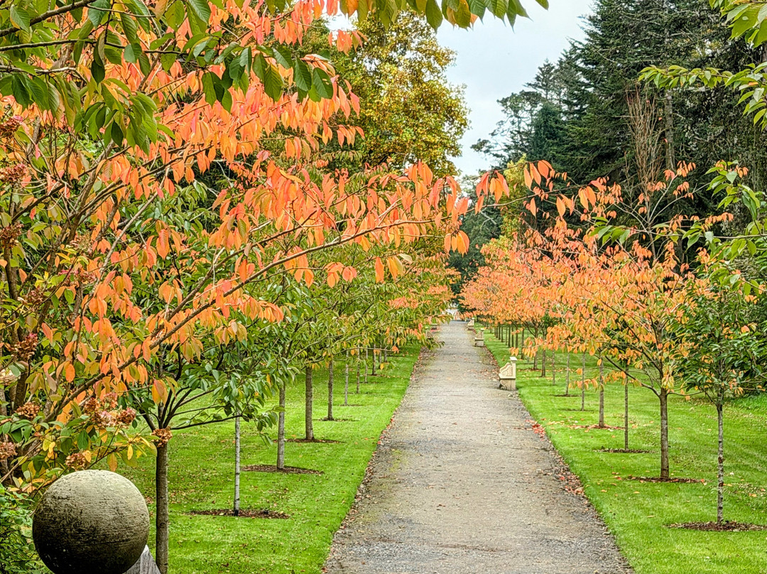Small Escorted Tours Of Ireland-基尔肯尼必去景点