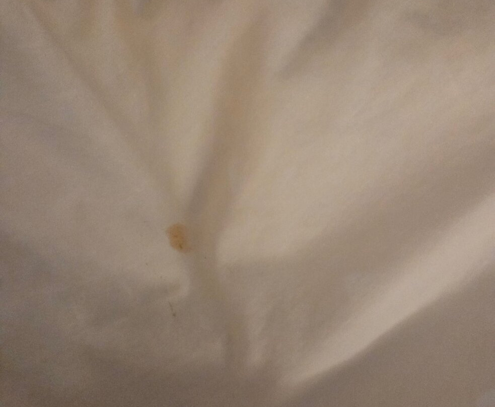 Super 8 by Wyndham Chambersburg I-81主图