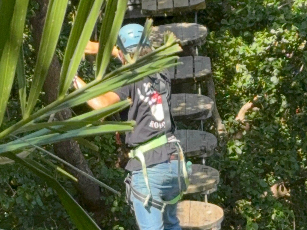 Treetop Trekking Miami-迈阿密必去景点