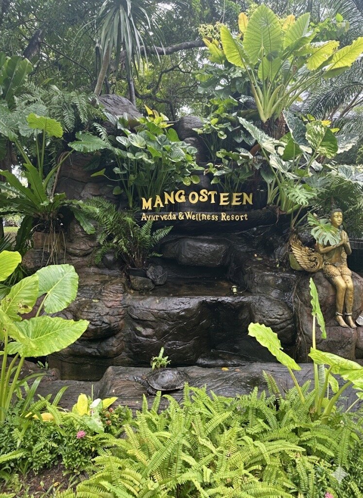 金色郁金香山竹温泉度假村-官方