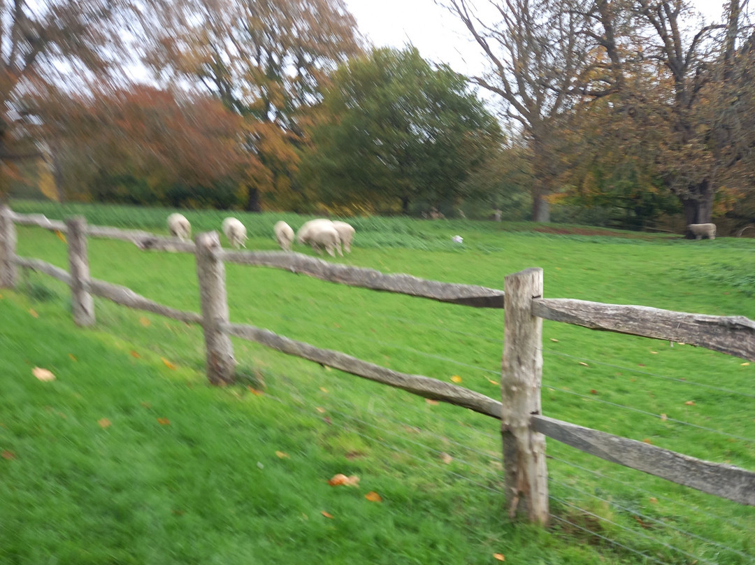 The Cherry Tree Inn-泰晤士河畔亨利必去景点