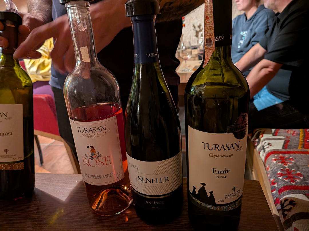 Turasan Sarapcilik-于尔居普必去景点