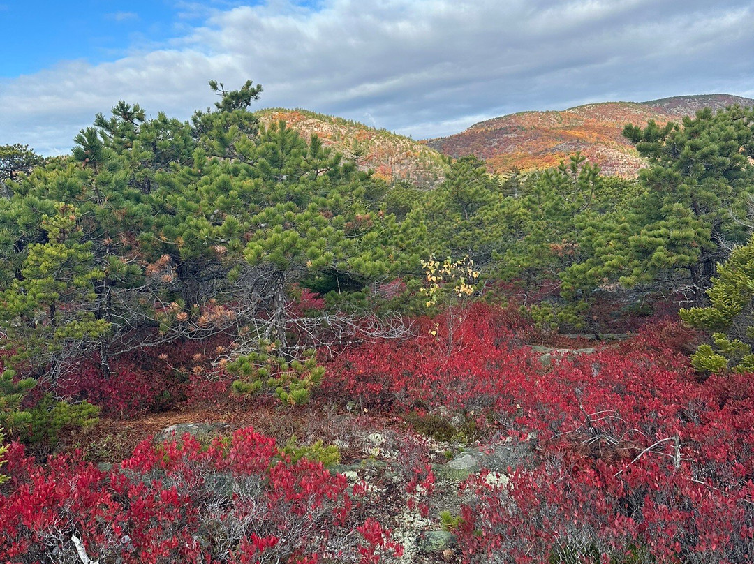 Acadia National Park-巴港必去景点