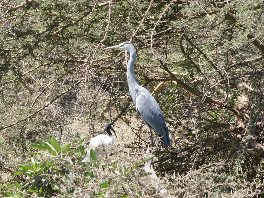 The Tanzanite Experience-阿鲁沙必去景点