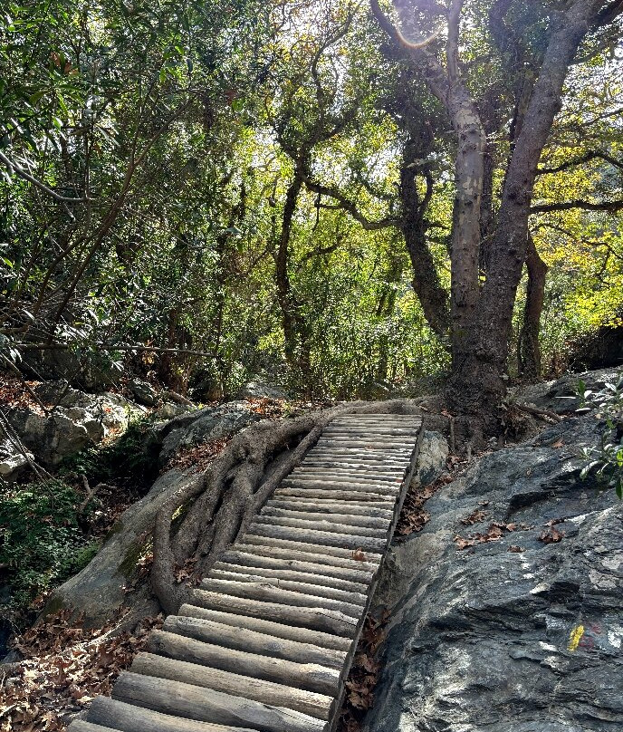 Richtis Gorge-Sitia必去景点