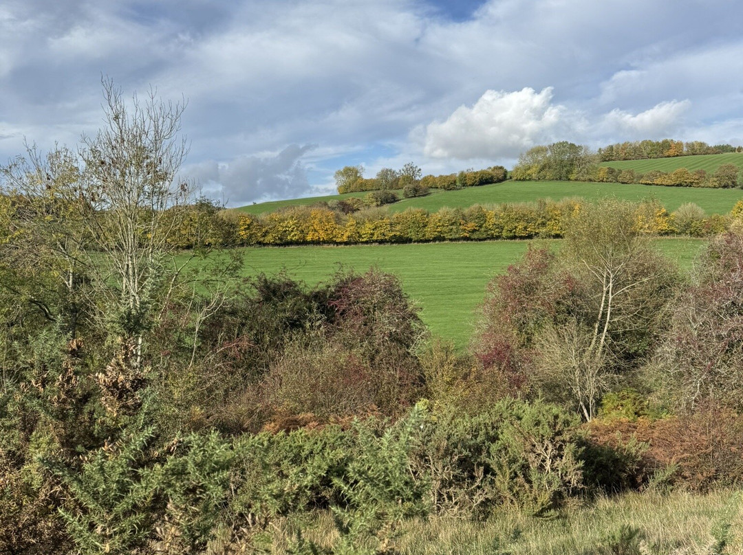 Holly House B&B主图