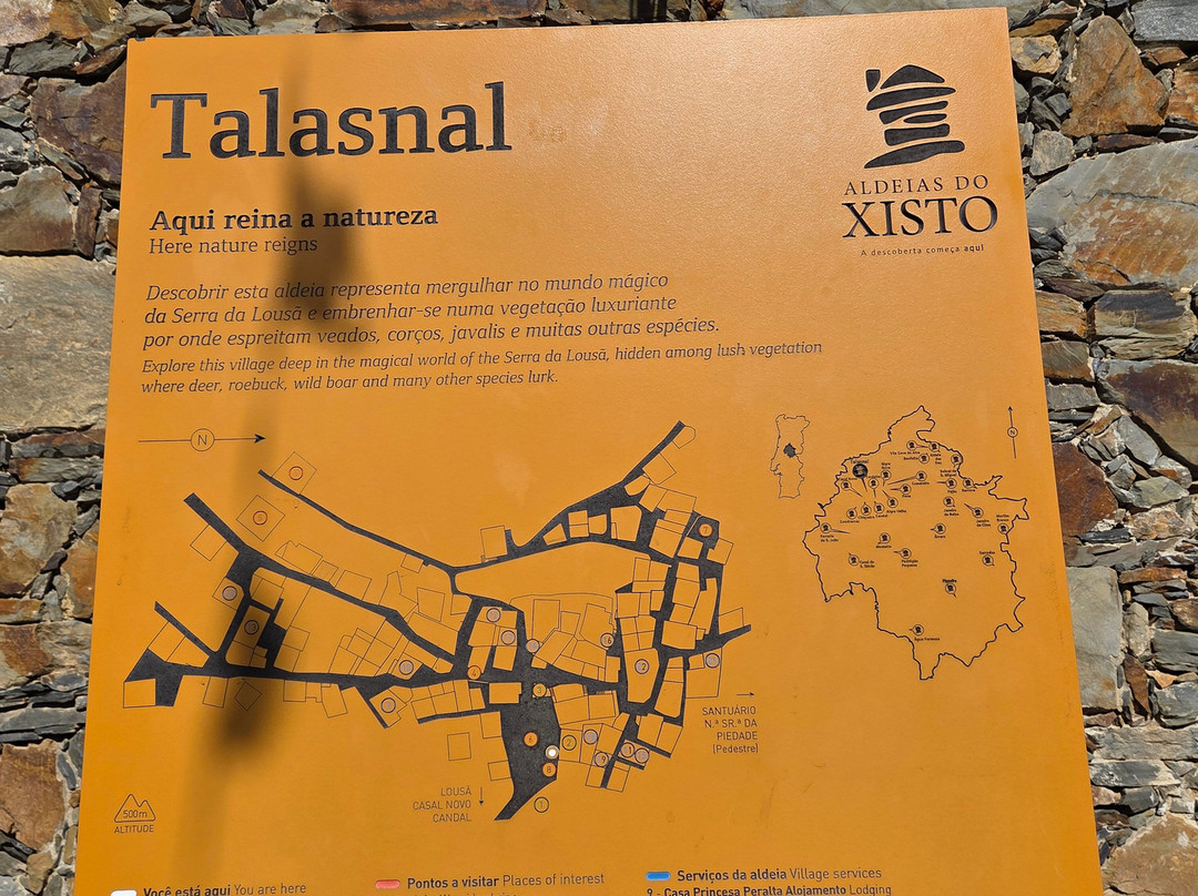 Viver Bem Portugal - Transfers e Tours Privados-波尔图必去景点