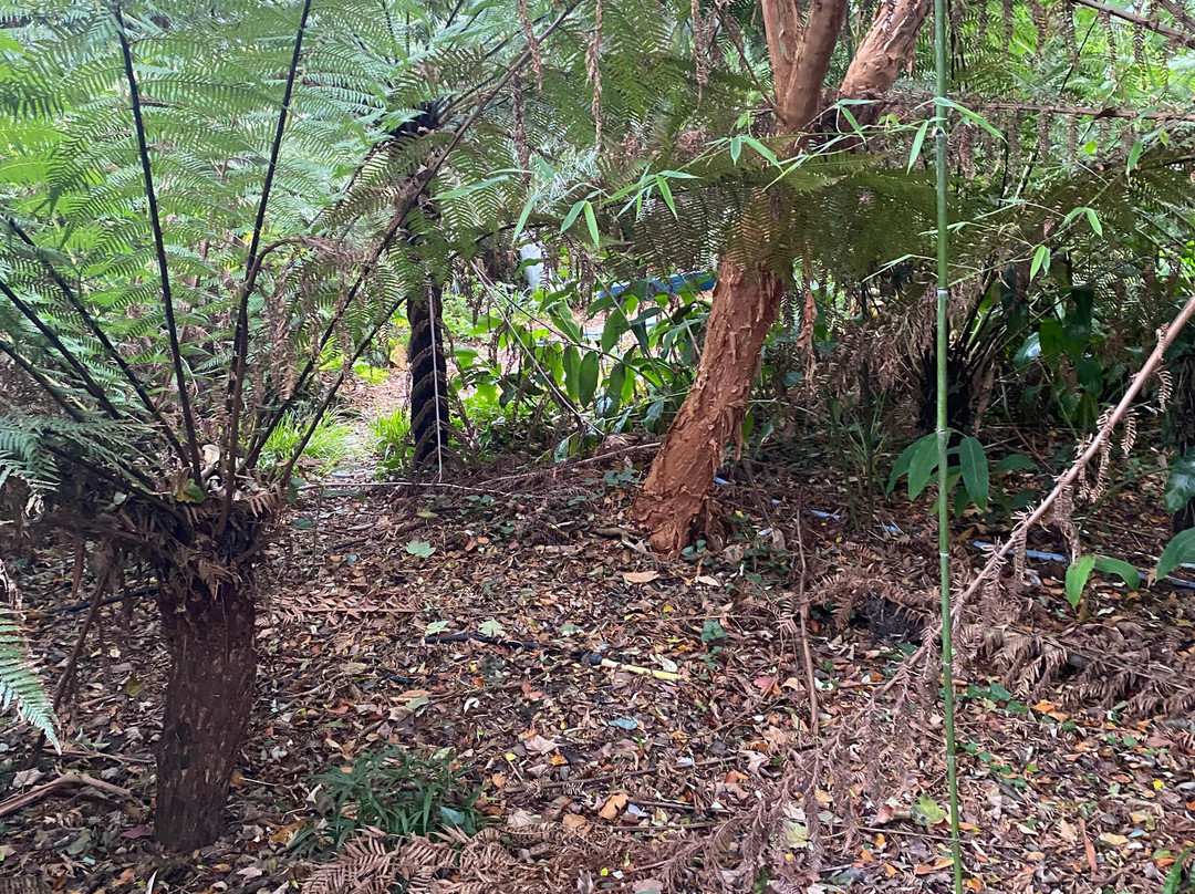 Sausmarez Manor-St Martin必去景点