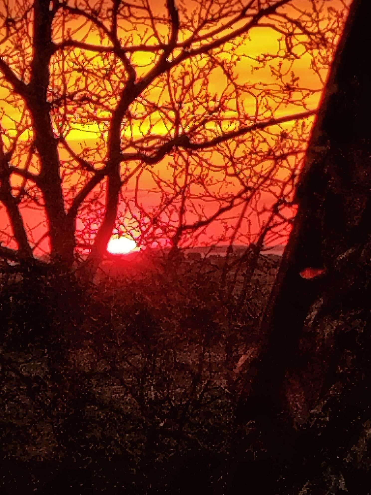 Gästehaus Muhl-官方