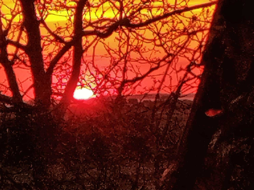 Gästehaus Muhl主图