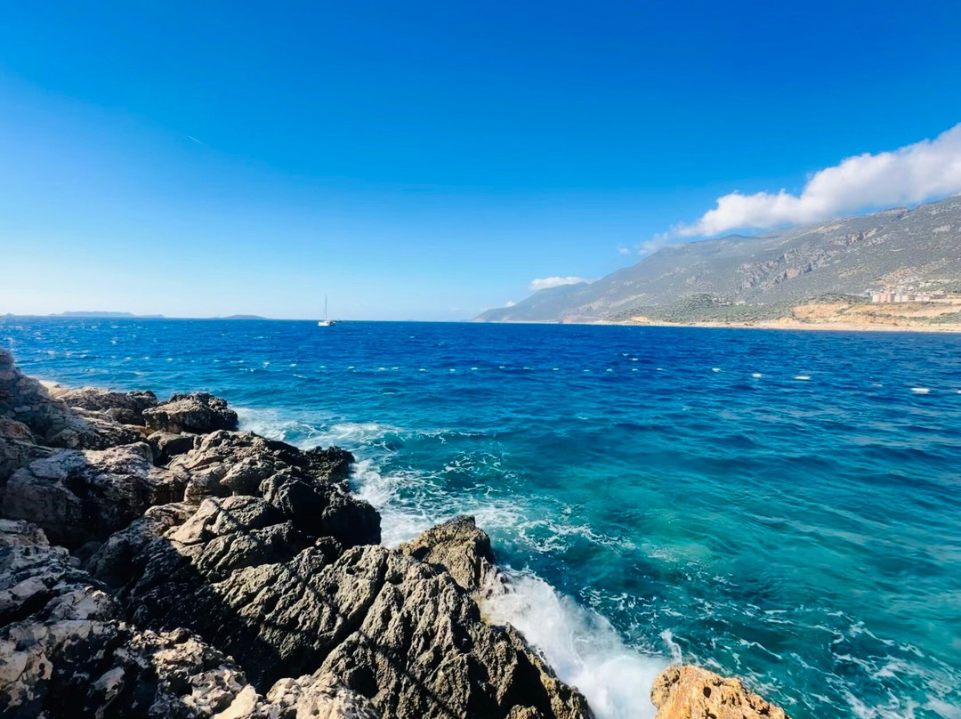 Alley Prime Hotel主图