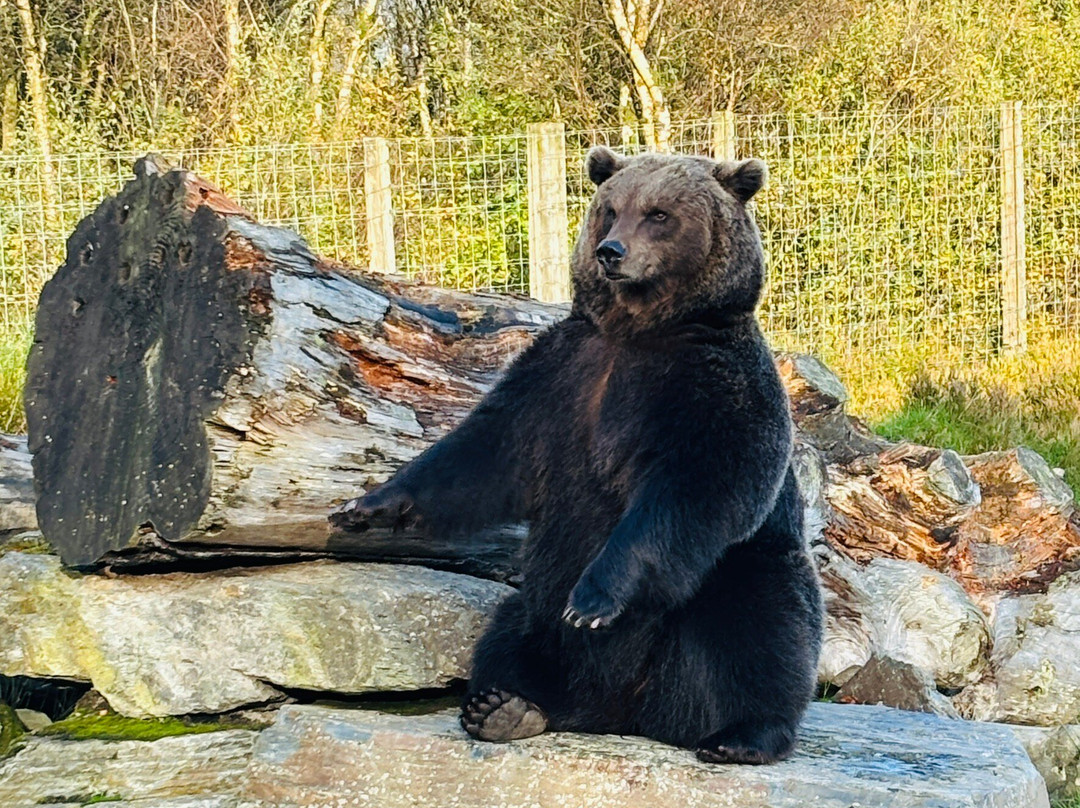 Wild Ireland-Burnfoot必去景点