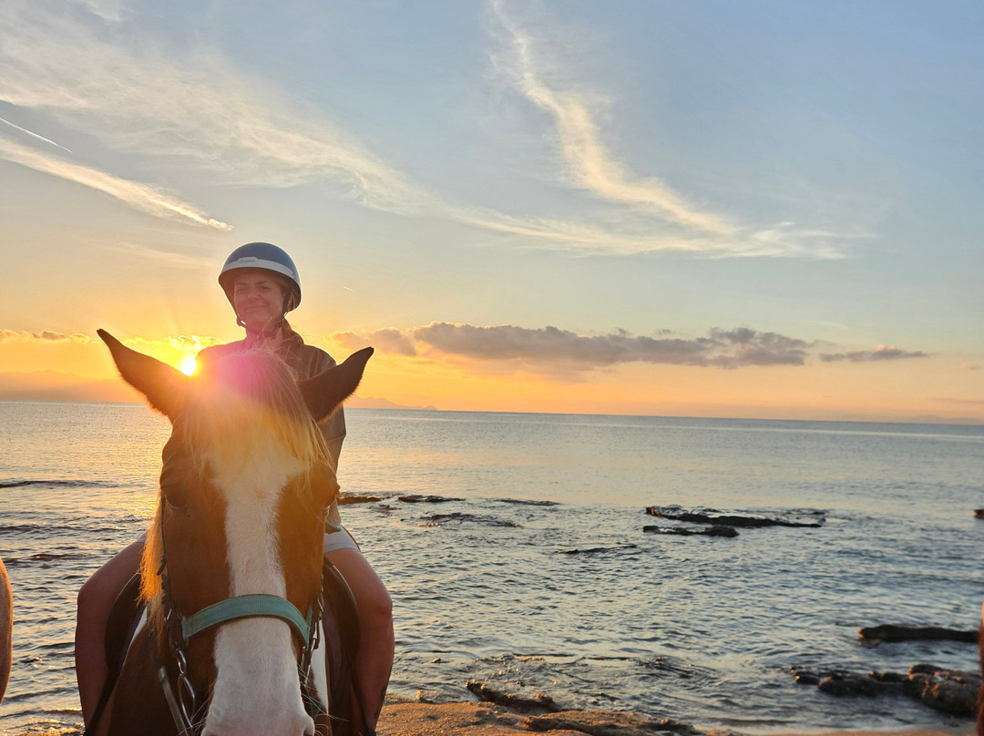 Kardamena Horse Riding Center-卡达米那必去景点