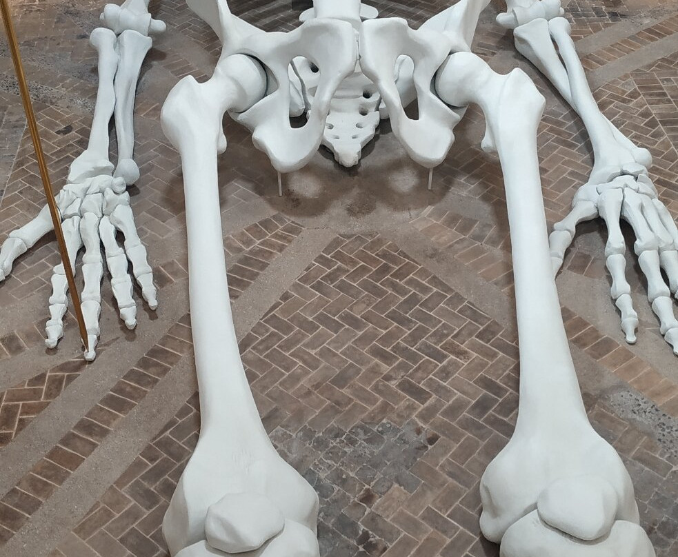 Calamita Cosmica - Centro Italiano Arte Contemporanea-福利尼奥必去景点