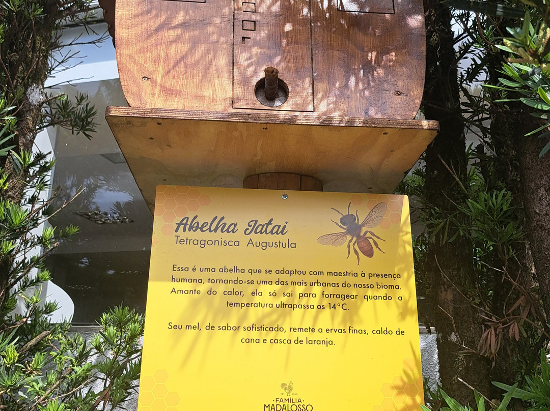 Bairro de Santa Felicidade-库里提巴必去景点