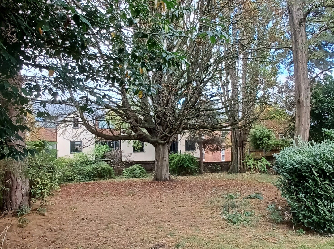 All Hallows Guesthouse主图