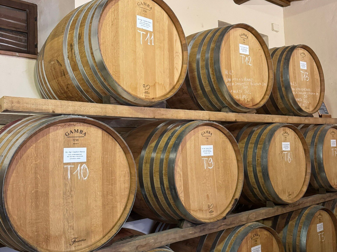 Capitoni Marco Azienda Agraria-皮恩扎必去景点