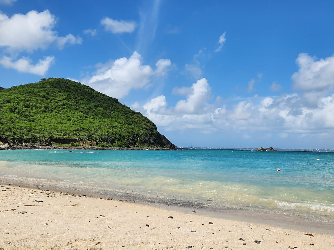 Plage Anse Marcel-Anse Marcel必去景点