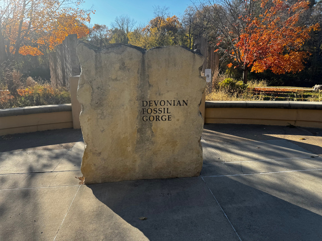 Devonian Fossil Gorge-爱荷华城必去景点