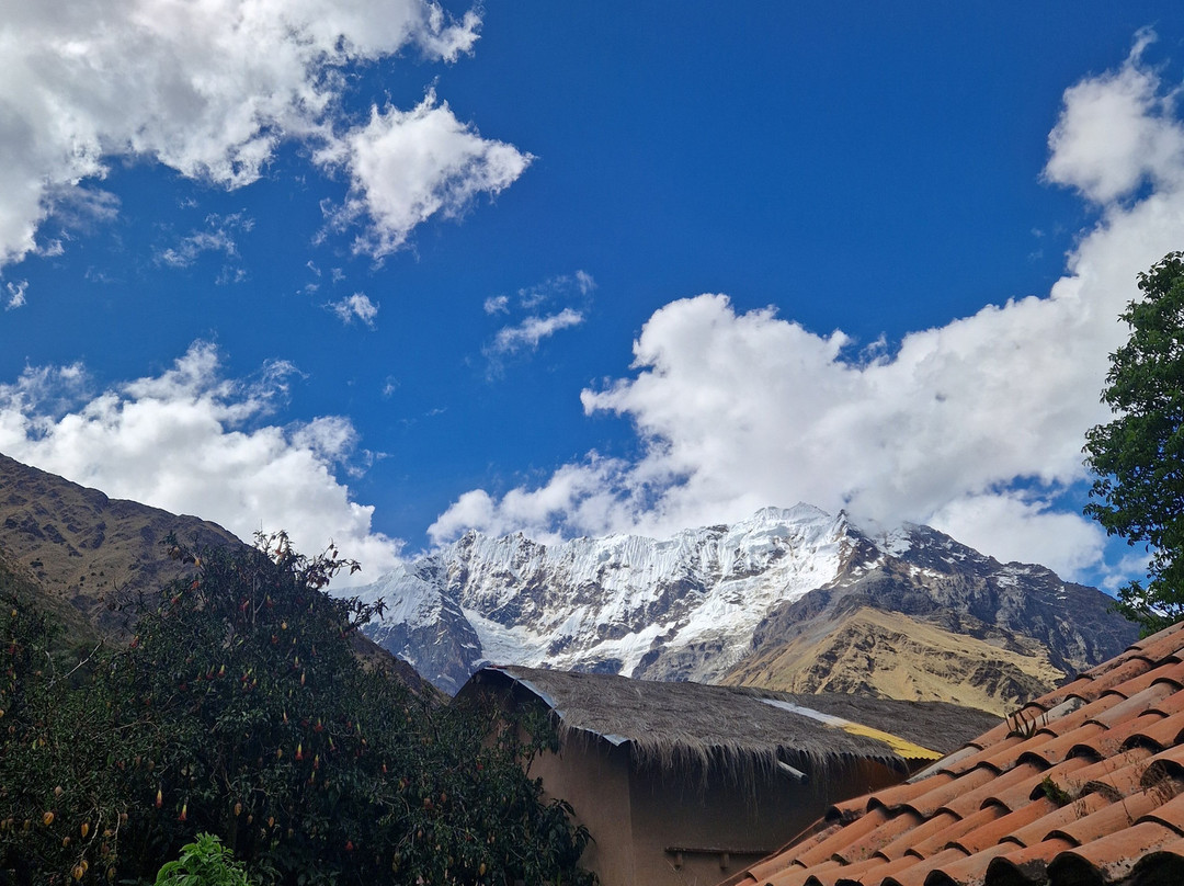 Alpaca Expeditions-库斯科必去景点