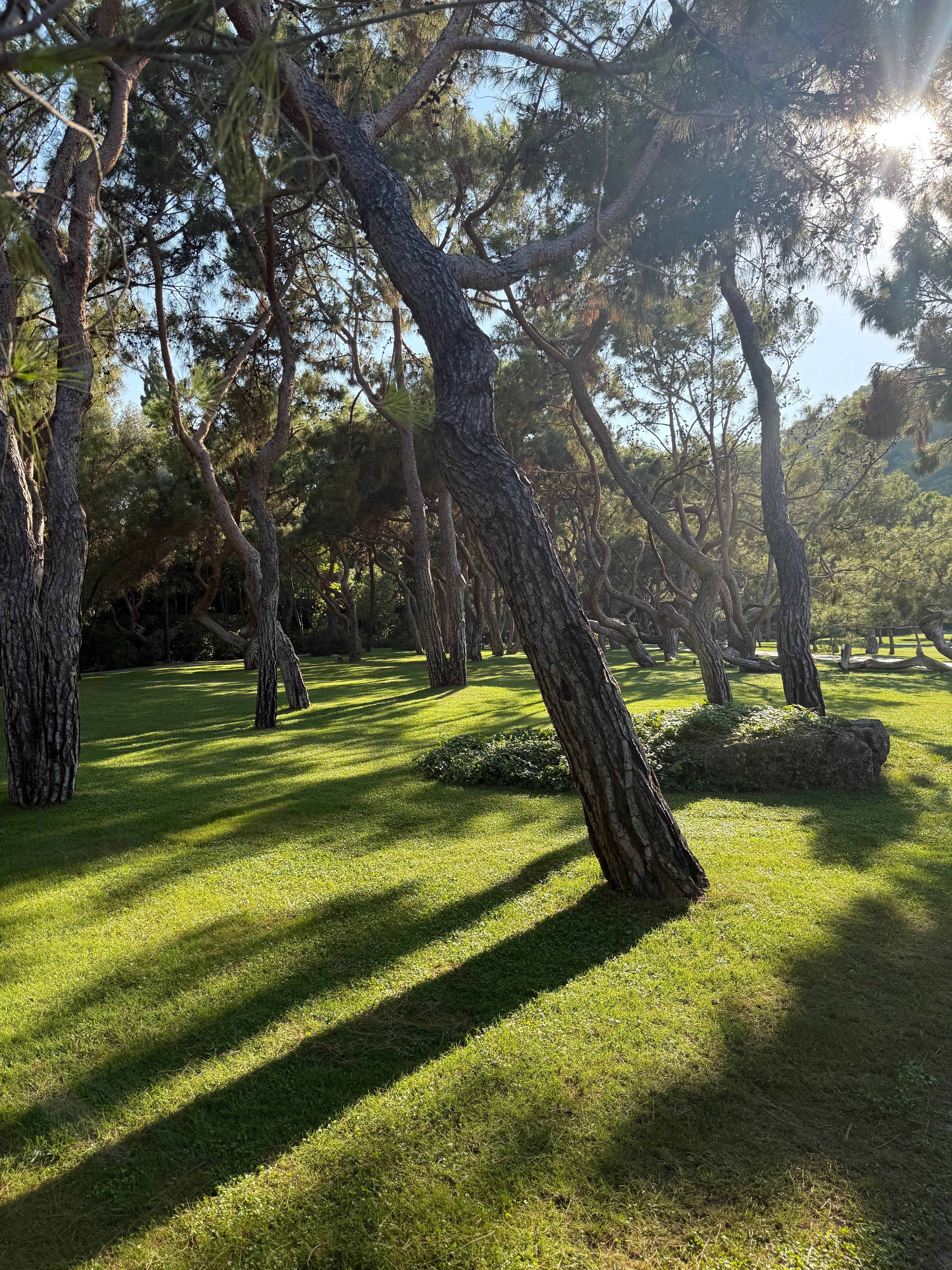 Maxx Royal Kemer Resort-官方