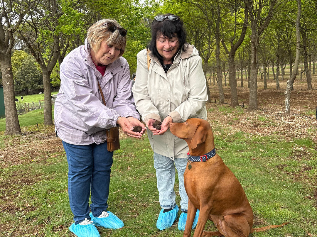 The Truffle Farm Tasmania-德洛兰恩必去景点