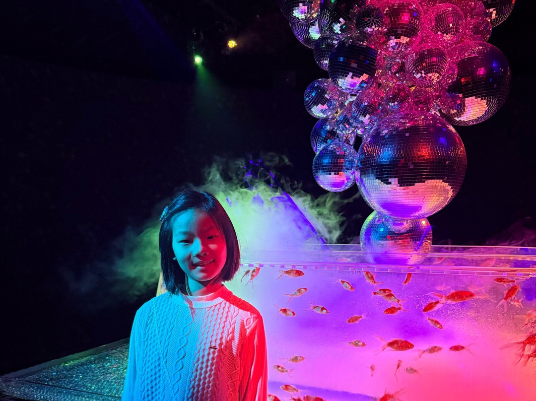 Art Aquarium-Ginza必去景点