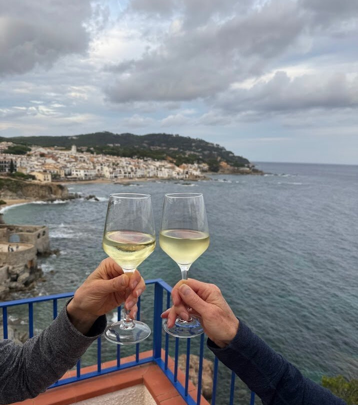 Hotel Sant Roc主图