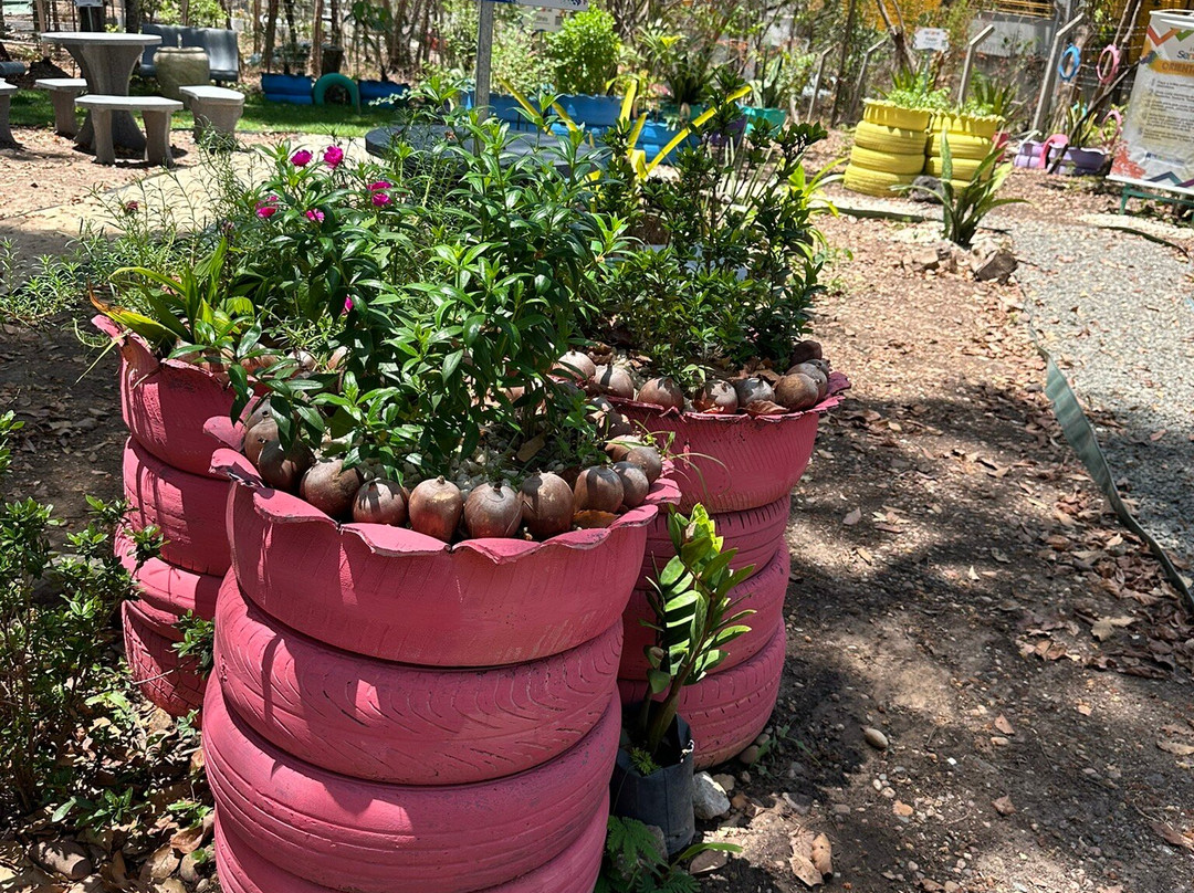 Parque da Cidade-Teresina必去景点