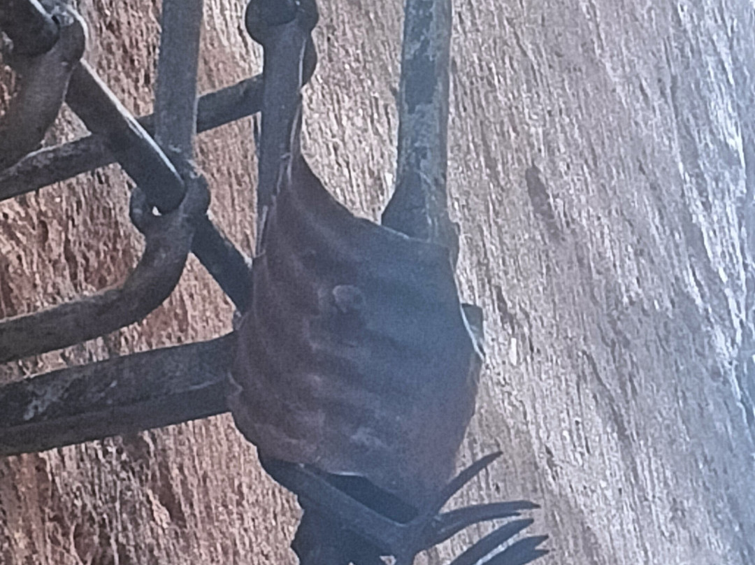 Meson Del Gallo主图