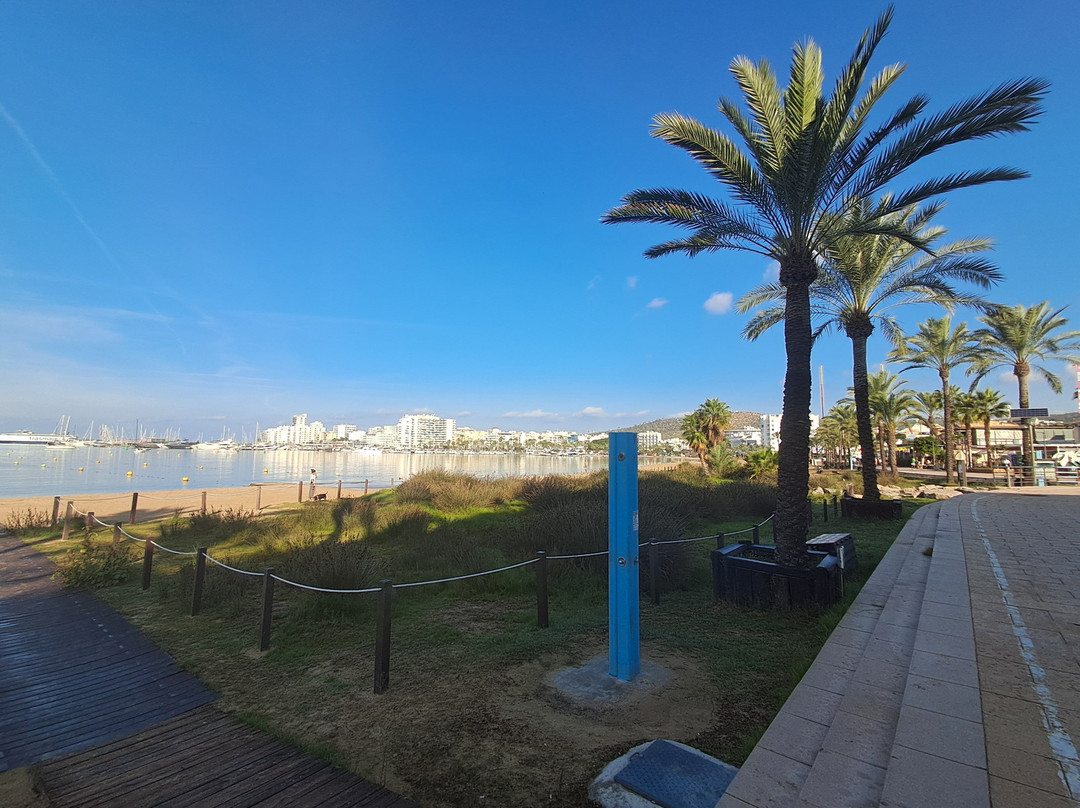 Platja de S'Arenal-圣安东尼德波特曼尼必去景点