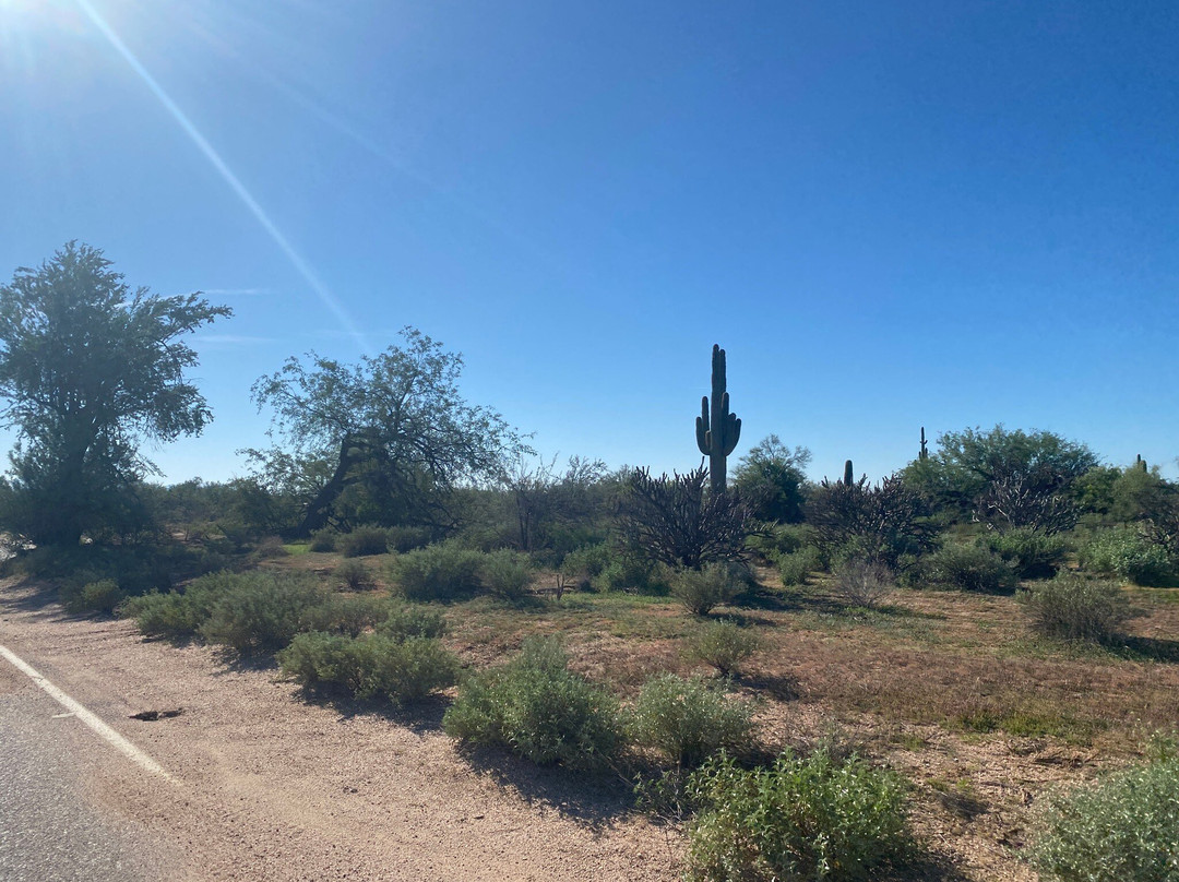 Mcdowell Mountain Cycles-Fountain Hills必去景点