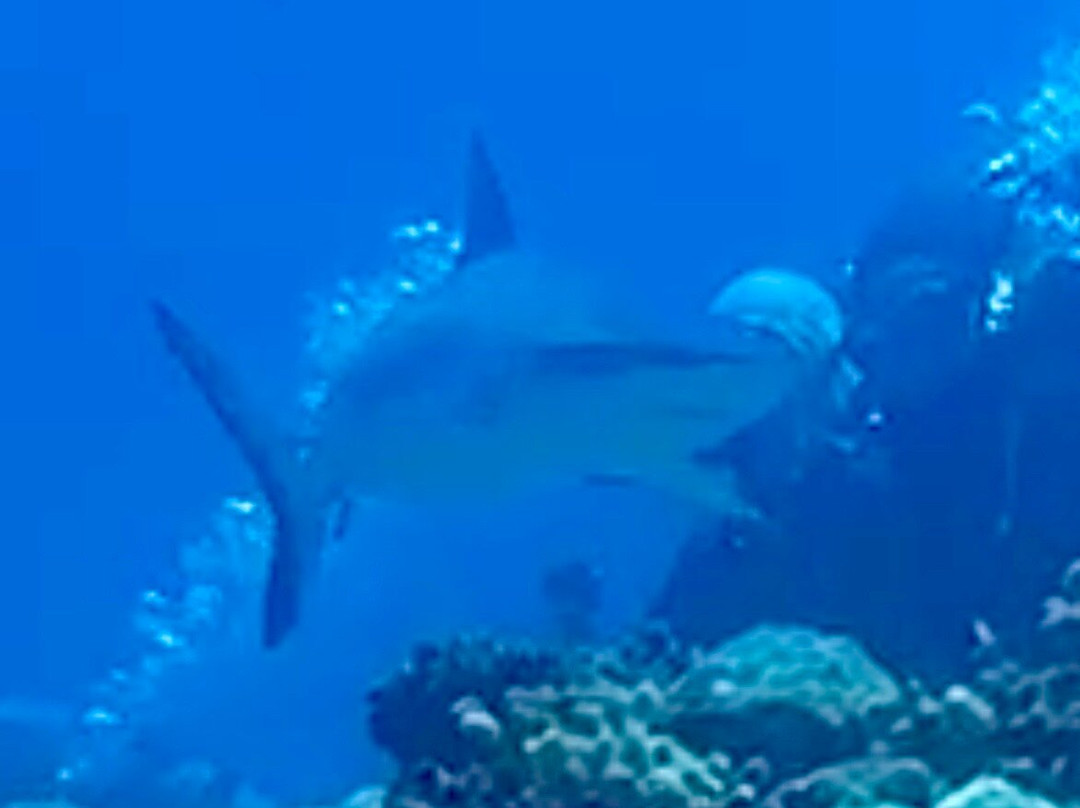 Scuba Nosy Be-诺西贝必去景点