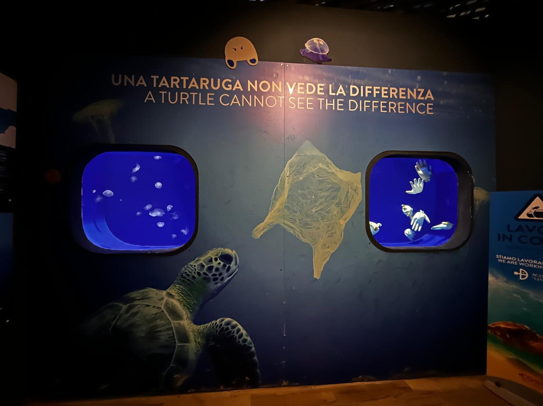 Acquario Di Livorno-里窝那必去景点