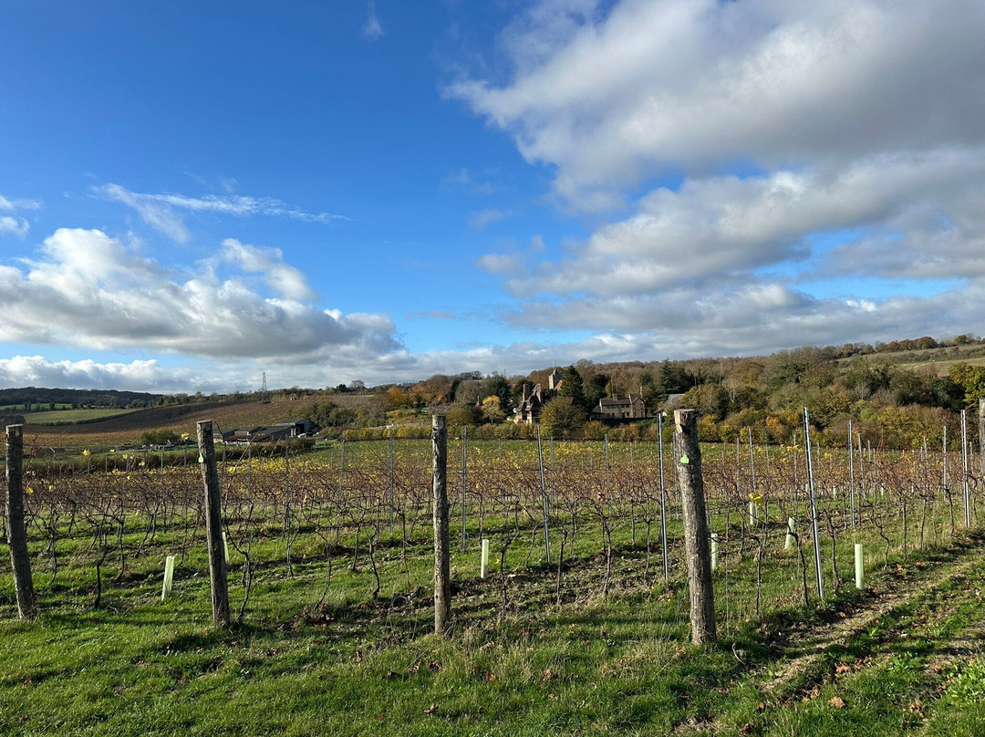 Silverhand Estate-Luddesdown必去景点