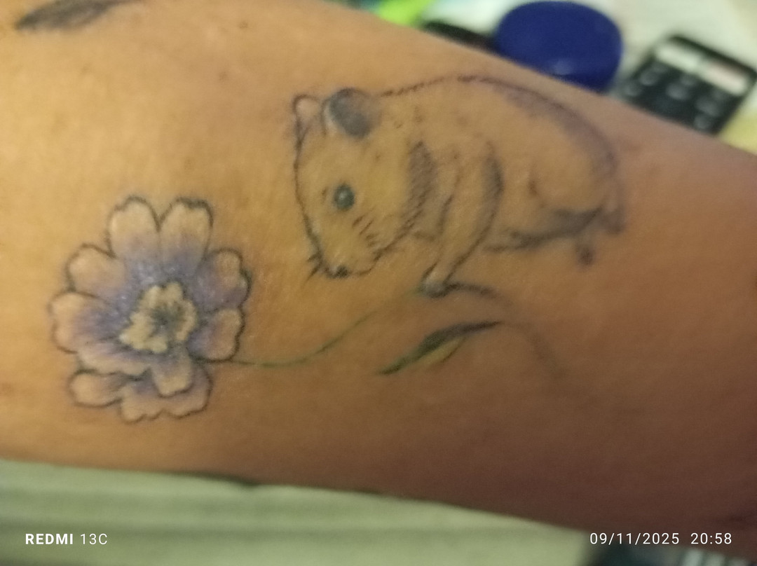 Vikings Tattoo Rhodes-罗德城必去景点