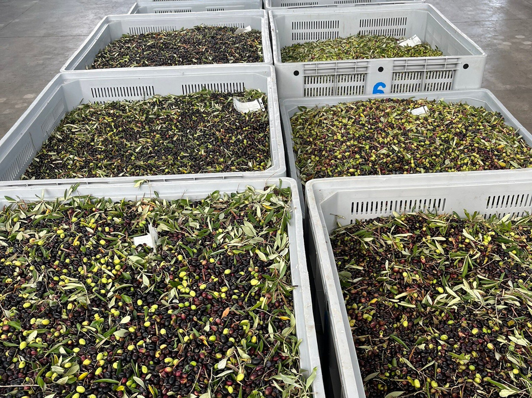 Italia Sweet Italia-瓦斯托必去景点