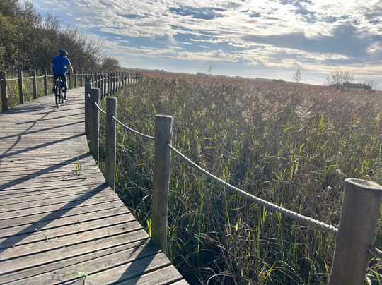 Pedalquest Tours-里斯本必去景点