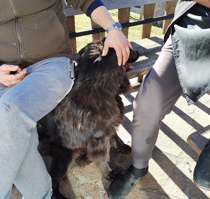 Albergo Ristorante Forte Cherle主图