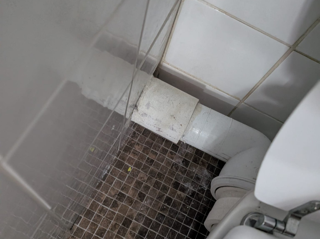 Wilde Ballybunion主图