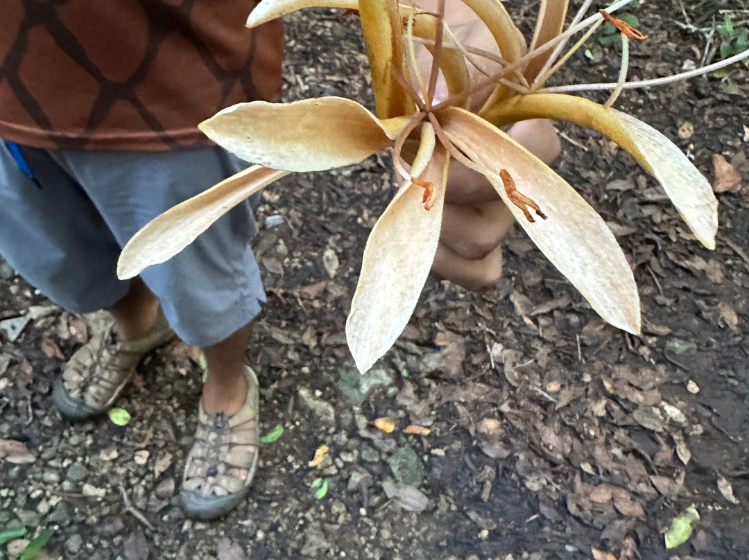 Báalam Nah; Experiencias de Aventura.-Felipe Carrillo Puerto必去景点