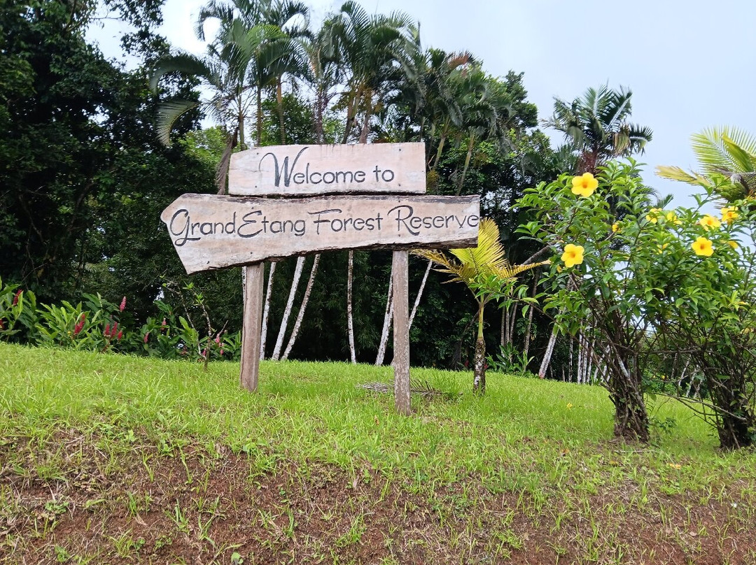 Grand Etang National Park