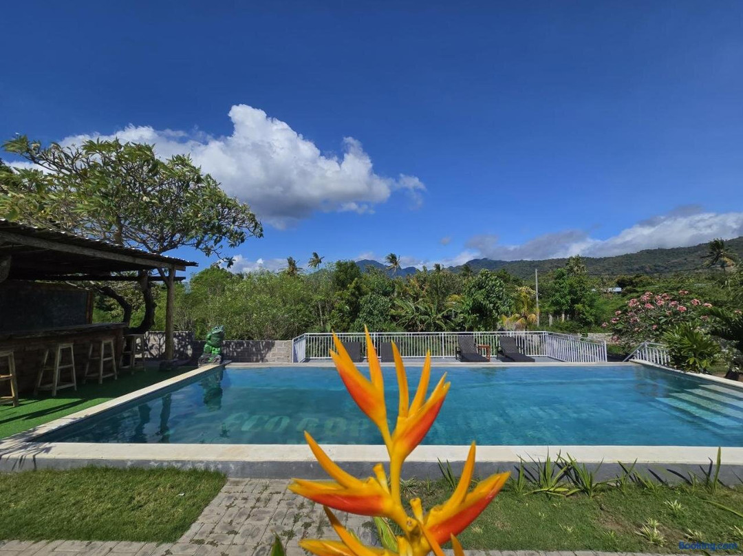 Eco Moringa Garden主图