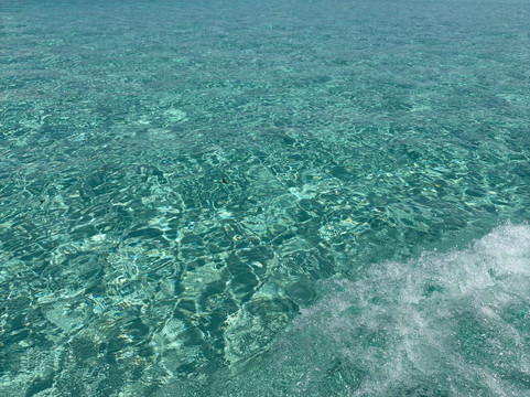 Little Lion Kenya con Rondo Veneziano-瓦塔木必去景点