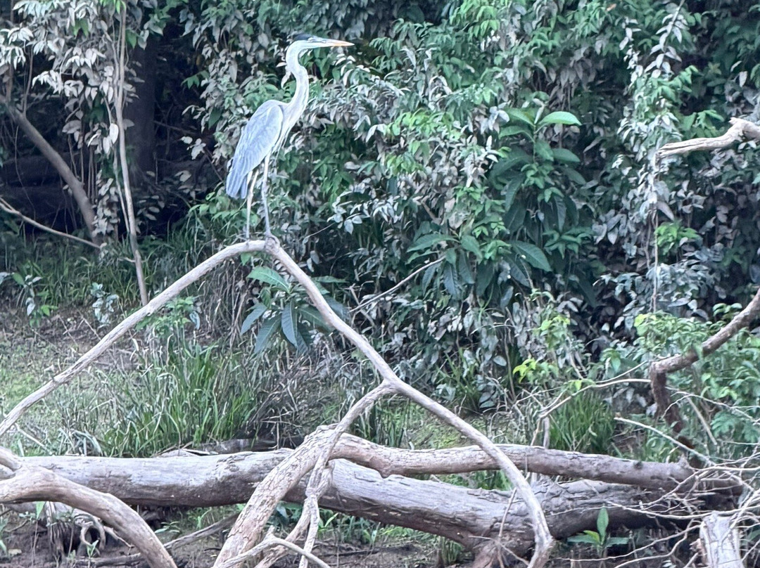 Kourou Space Centre (Guiana Space Centre)-Kourou必去景点